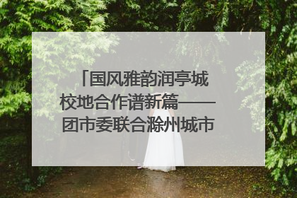 国风雅韵润亭城 校地合作谱新篇——团市委联合滁州城市职业学院助力传统文化“破圈”绽放